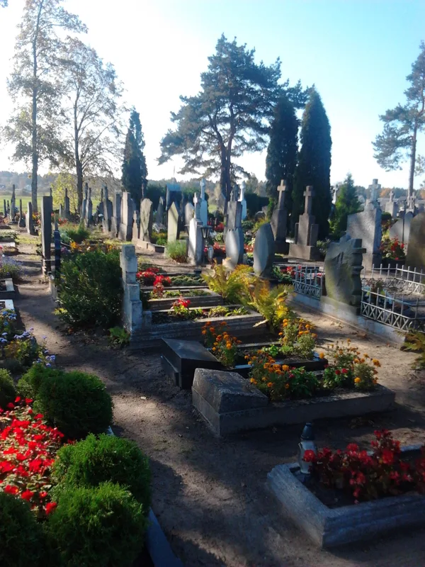 2011 gads Lietuva, celmu frēzēšana Lenkimai  kapsētā